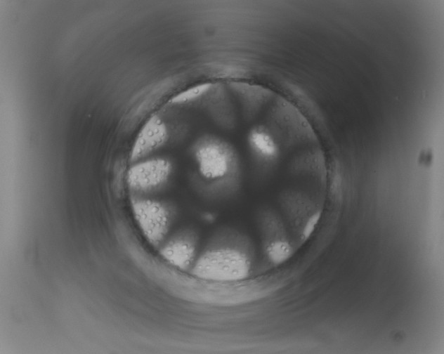 X0000113060026200910091154