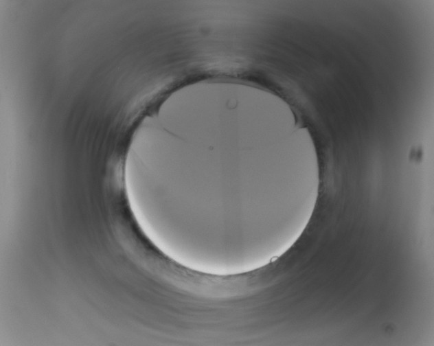 X0000113060027200910091154