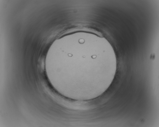 X0000113060028200910091154