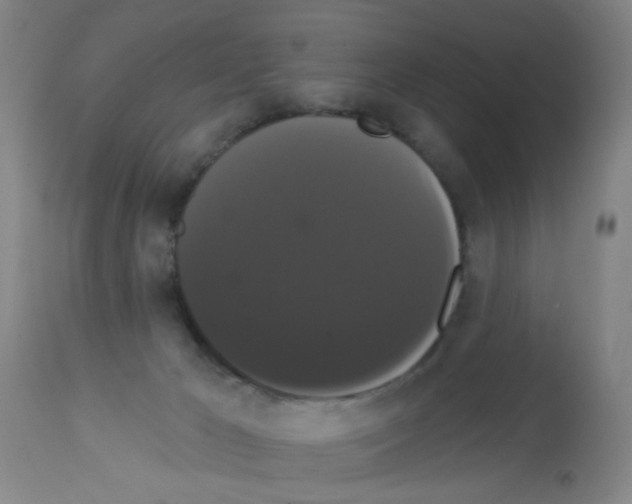 X0000113060029200910091154