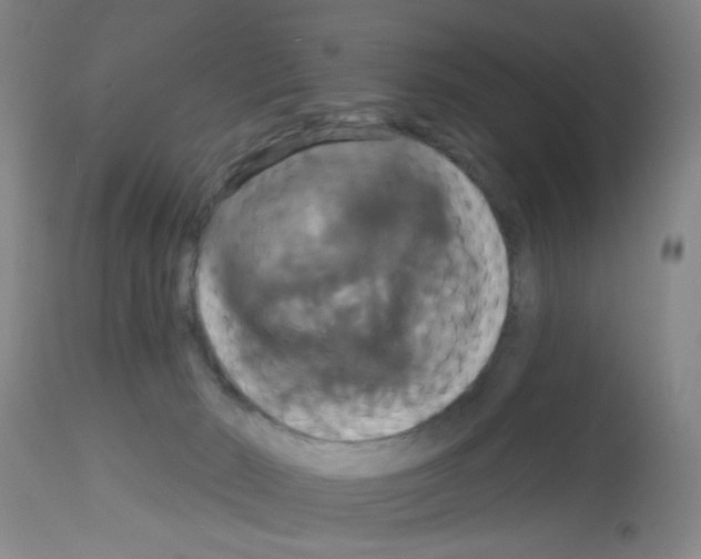 X0000113060030200910091154
