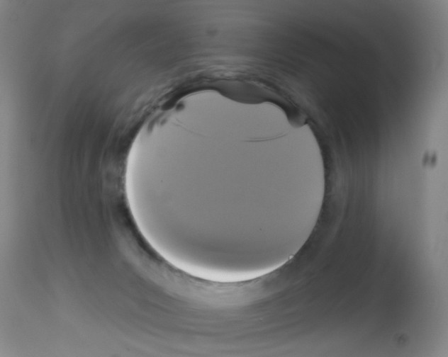 X0000113060031200910091154