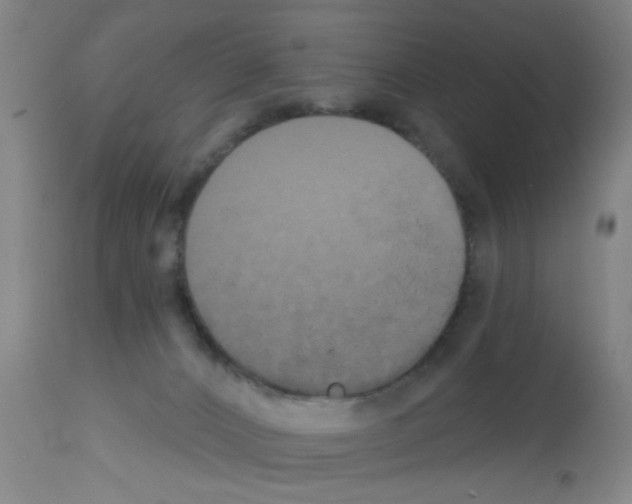 X0000113060032200910091154