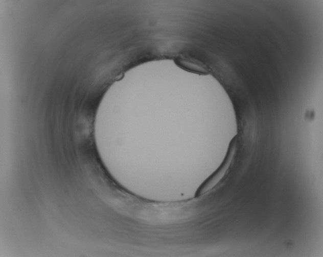 X0000113060033200910091154