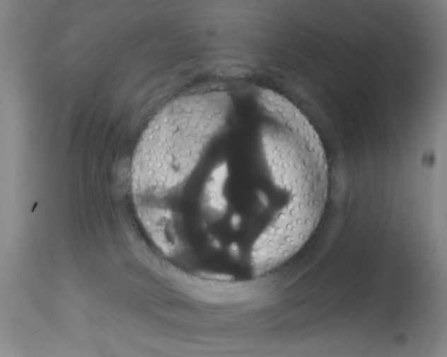 X0000113060034200910091154