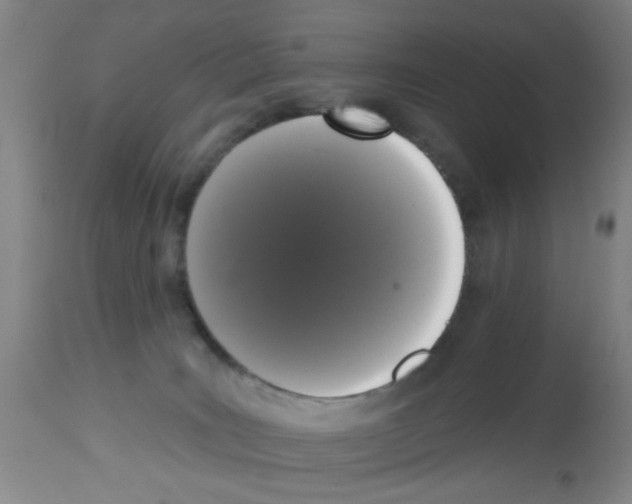 X0000113060035200910091154