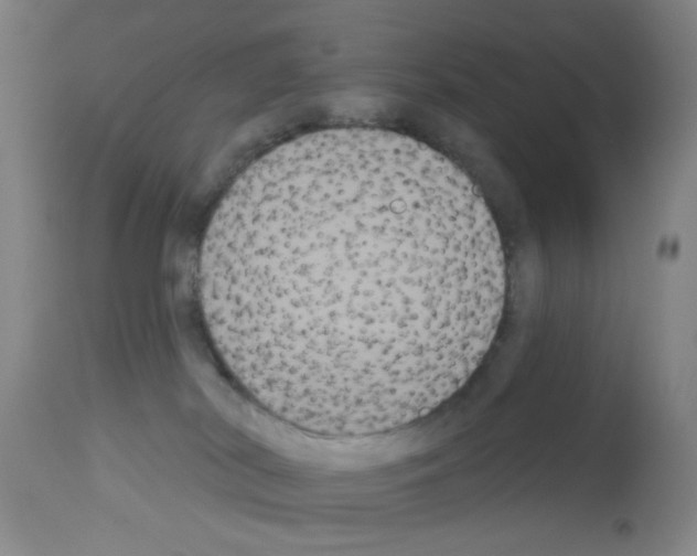 X0000113060038200910091154