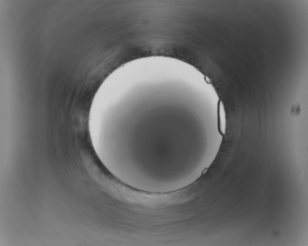 X0000113060039200910091154