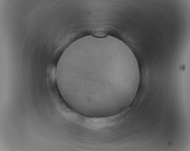 X0000113060041200910091154