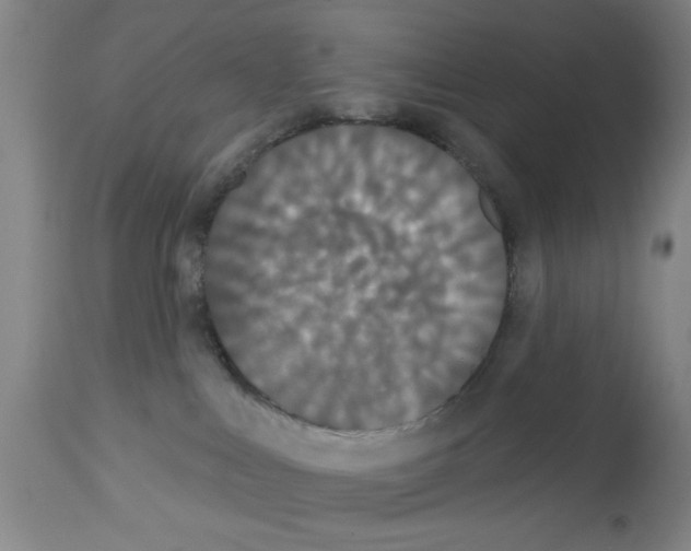 X0000113060043200910091154