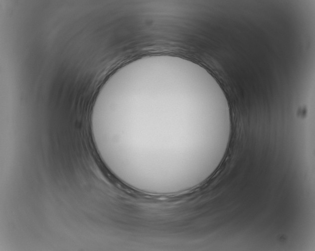 X0000113060045200910091154