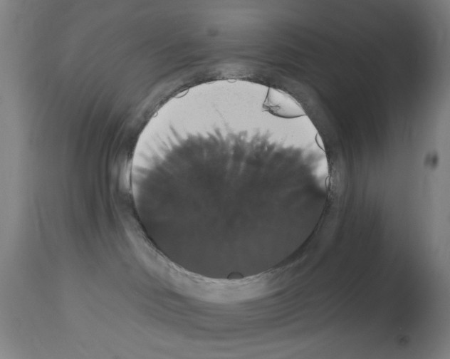 X0000113060046200910091154