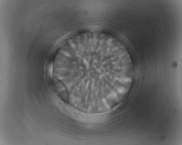 X0000113060047200910091154