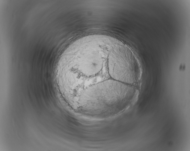 X0000113060048200910091154