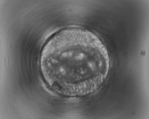 X0000113060050200910091153