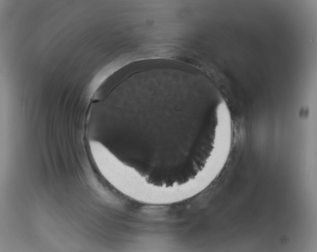 X0000113060051200910091153