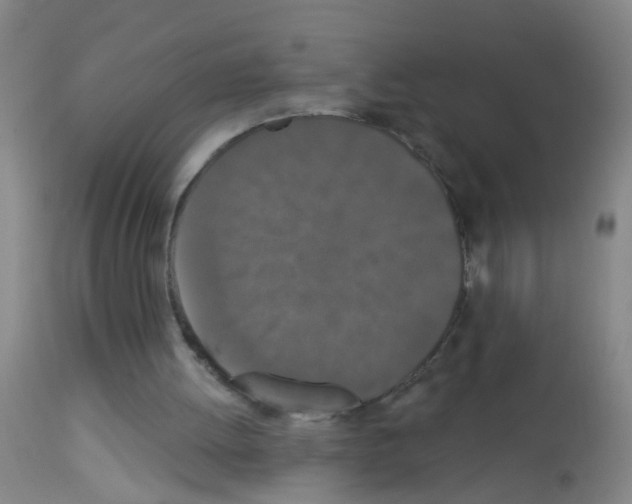 X0000113060052200910091153
