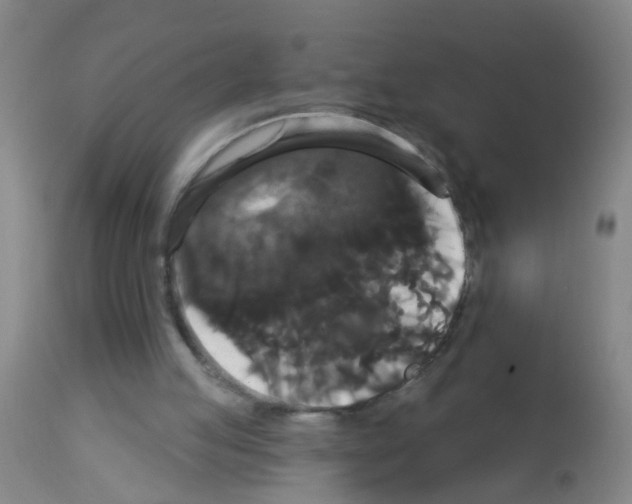X0000113060053200910091153