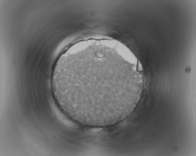 X0000113060054200910091153