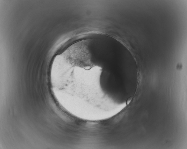 X0000113060055200910091153