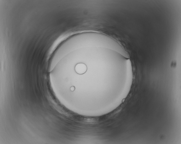 X0000113060056200910091153