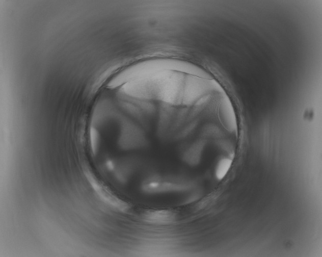 X0000113060058200910091153