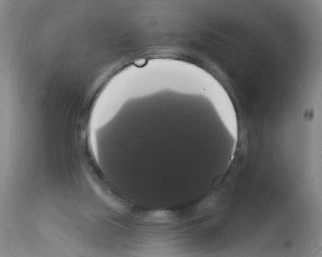 X0000113060059200910091153