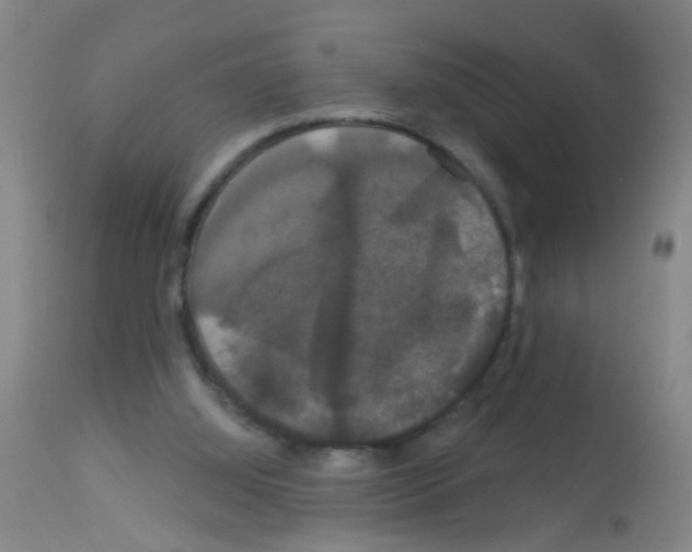X0000113060060200910091153