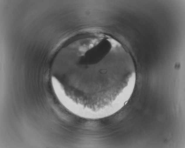 X0000113060063200910091153