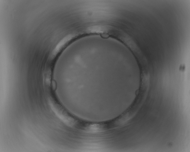 X0000113060064200910091153