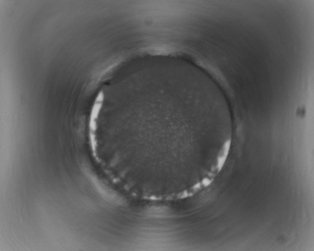 X0000113060066200910091153