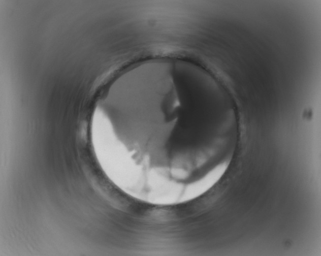 X0000113060067200910091153