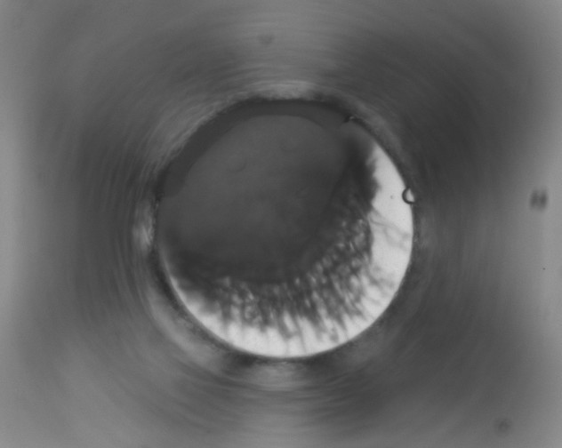 X0000113060069200910091153
