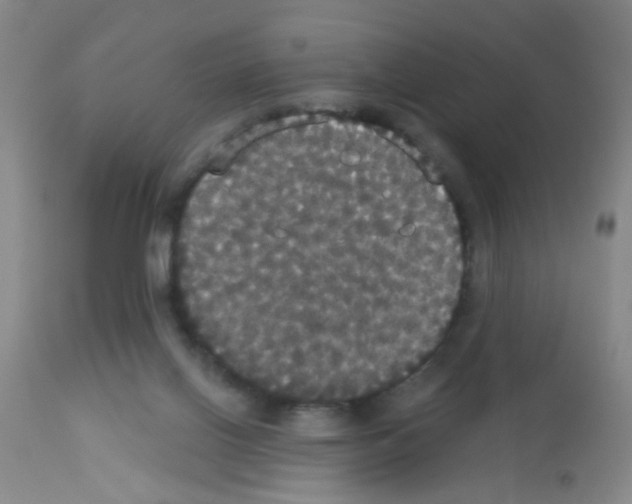 X0000113060070200910091153