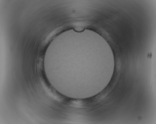 X0000113060071200910091153