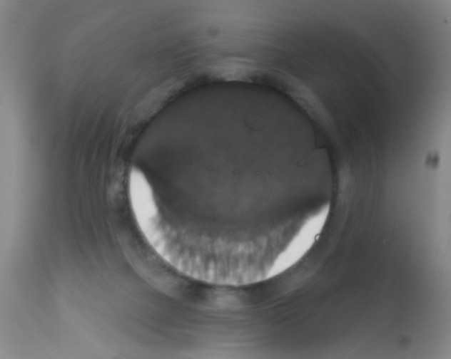 X0000113060073200910091153