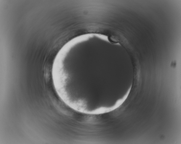 X0000113060074200910091153