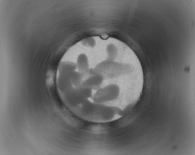 X0000113060075200910091153