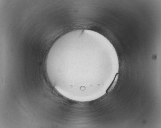 X0000113060076200910091153