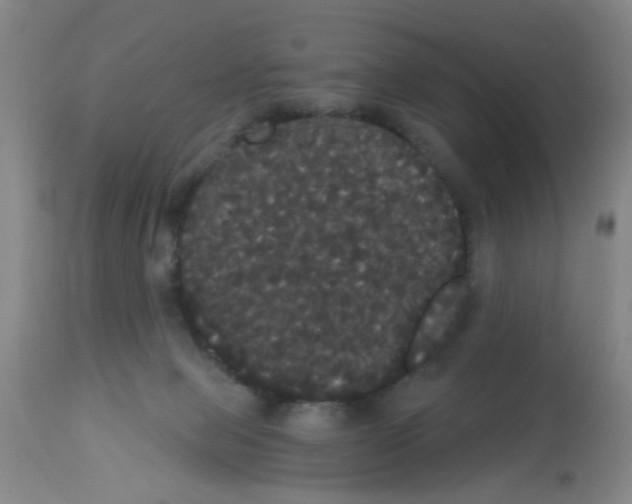 X0000113060077200910091153