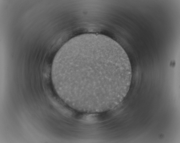 X0000113060078200910091153
