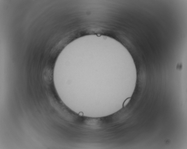 X0000113060079200910091153