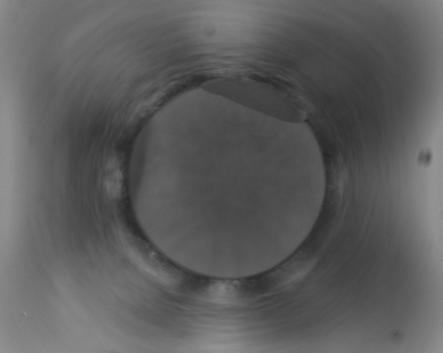 X0000113060080200910091153