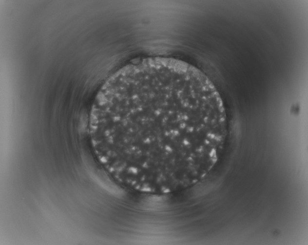 X0000113060081200910091153