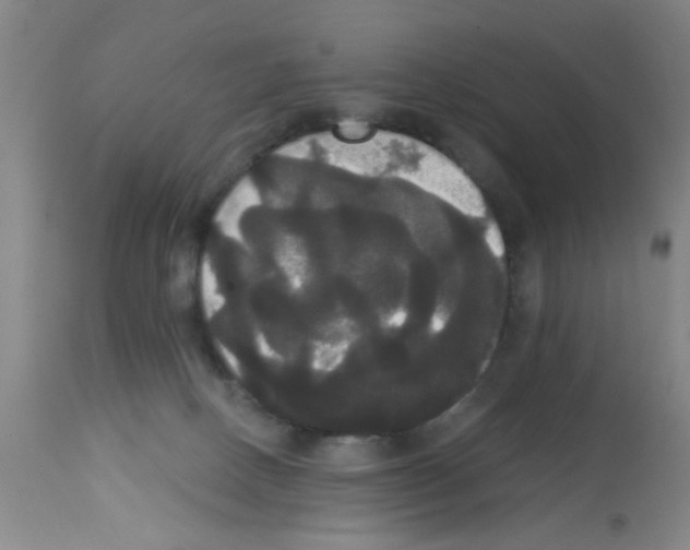 X0000113060082200910091153