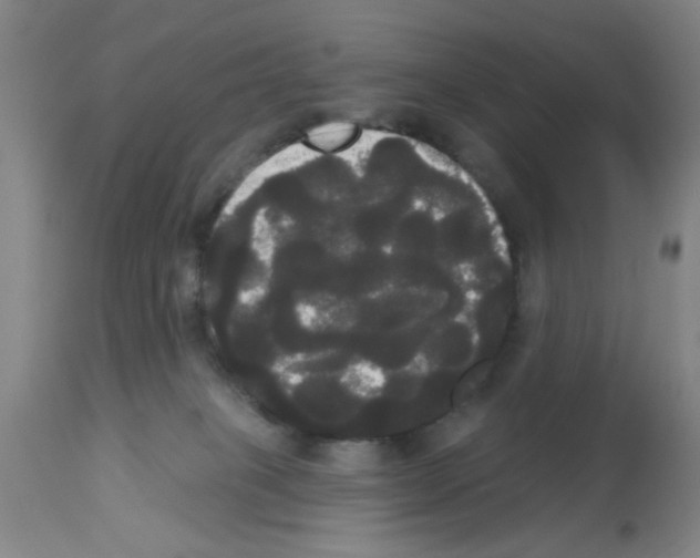 X0000113060085200910091153