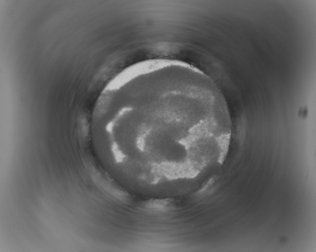 X0000113060086200910091154