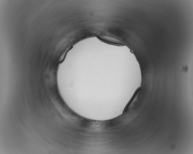 X0000113060088200910091154