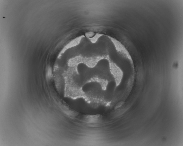 X0000113060089200910091154