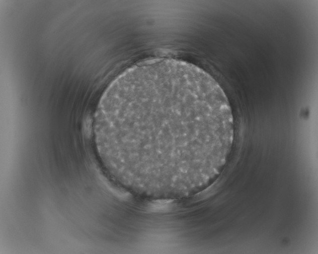 X0000113060090200910091154